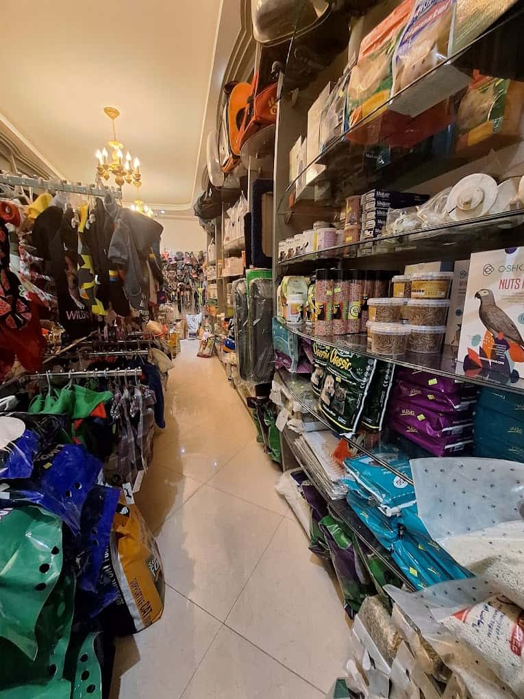 لیست فروشگاه های حیوانات خانگی و پت شاپ اصفهان 14 بهترین پت شاپ در اصفهان