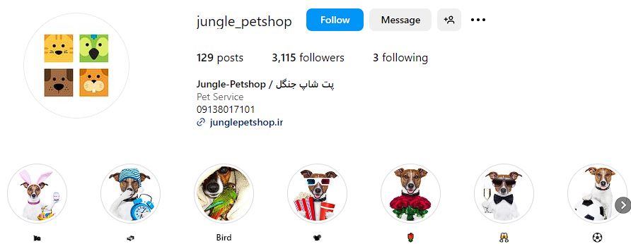 لیست فروشگاه های حیوانات خانگی و پت شاپ اصفهان 4 صفحه اینستاگرام پت شاپ جانگل